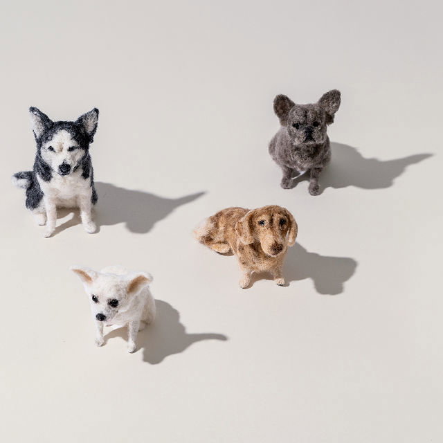 Felt a Best Friend DIY Dog Felting Kit