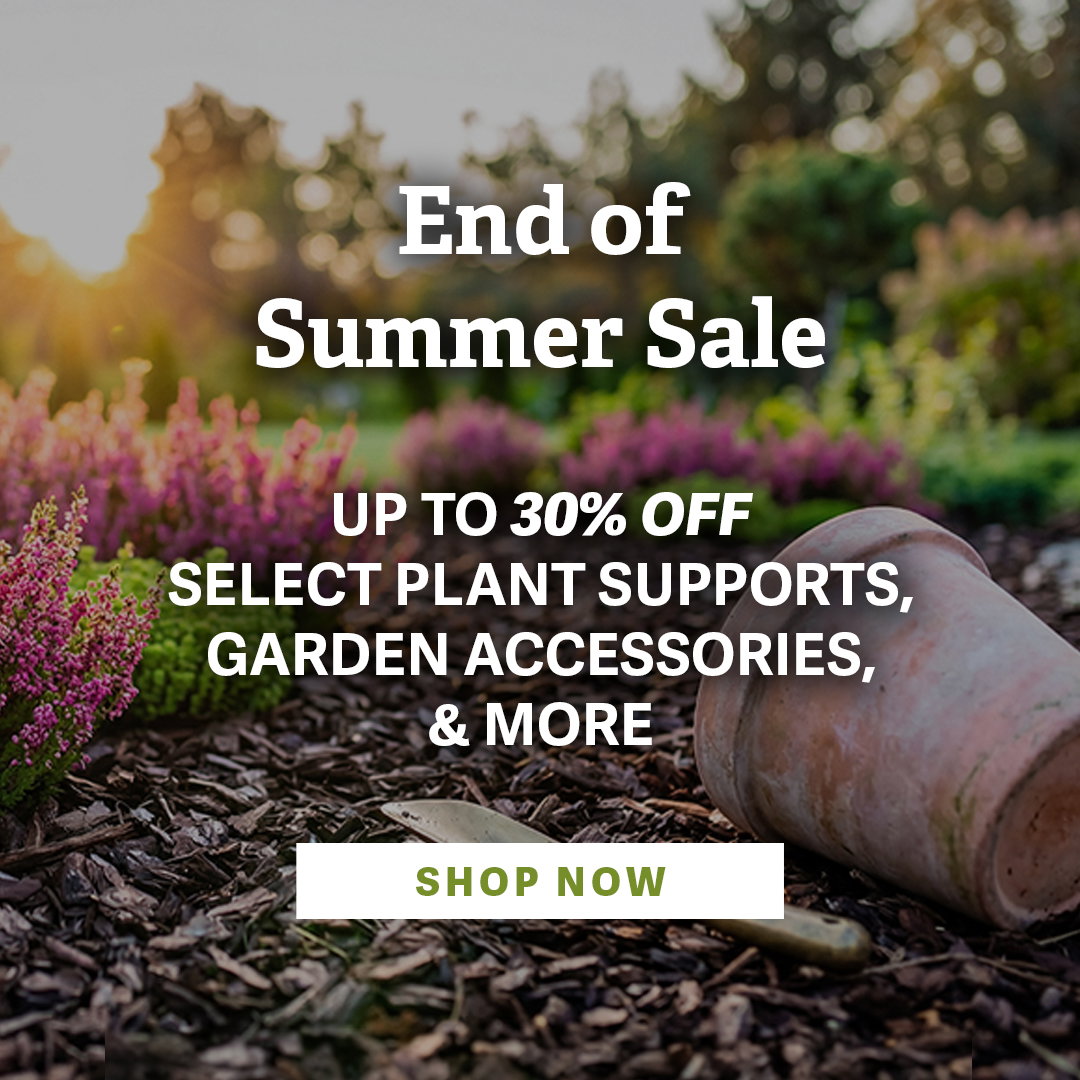 End of Summer Sale | Up to 30% OFF select plant supports, garden accessories, & more - SHOP NOW