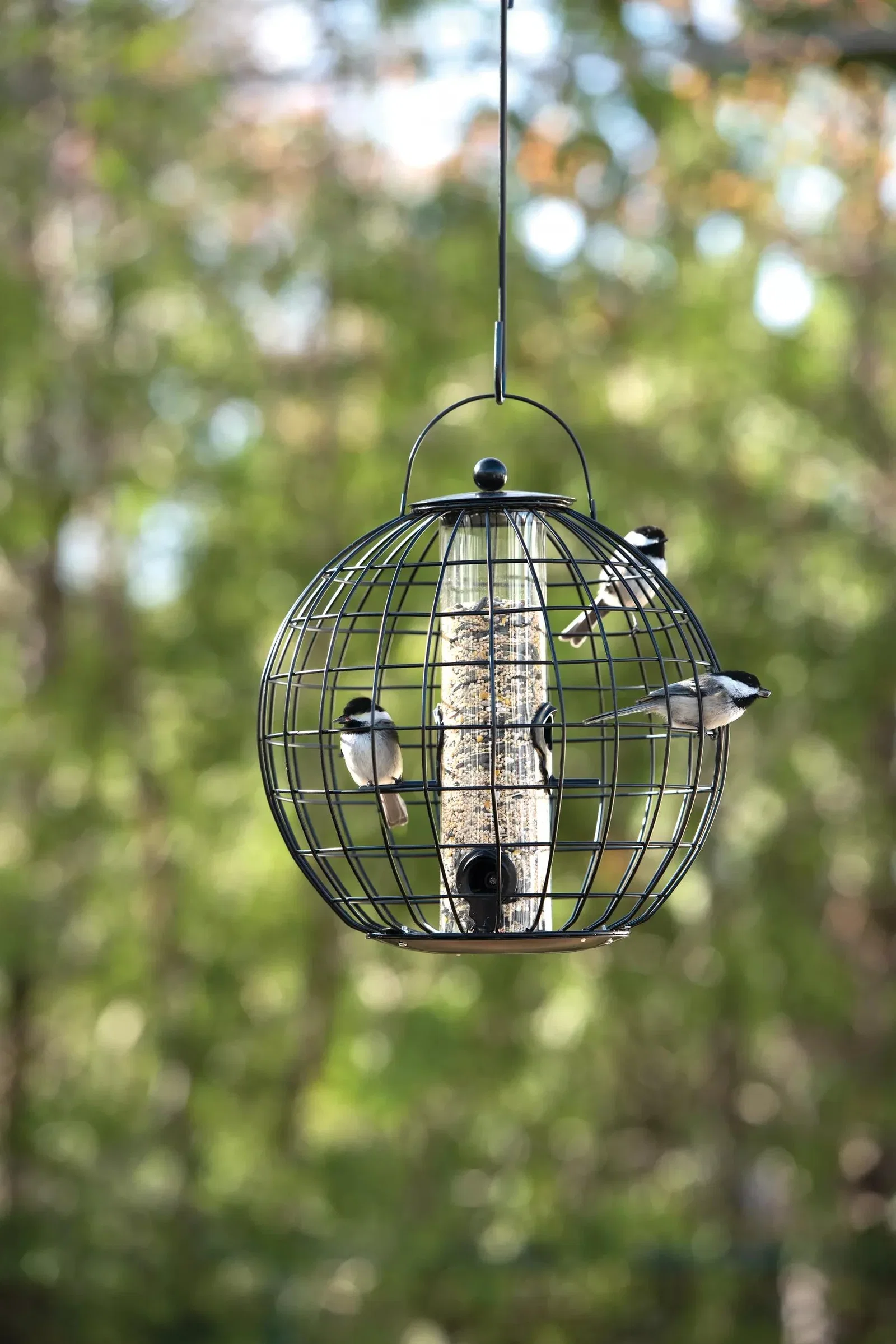 Image of Mixed Seed Globe Cage Feeder