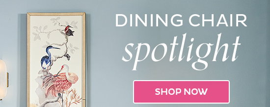 Dining Chair Spotlight - Shop Now