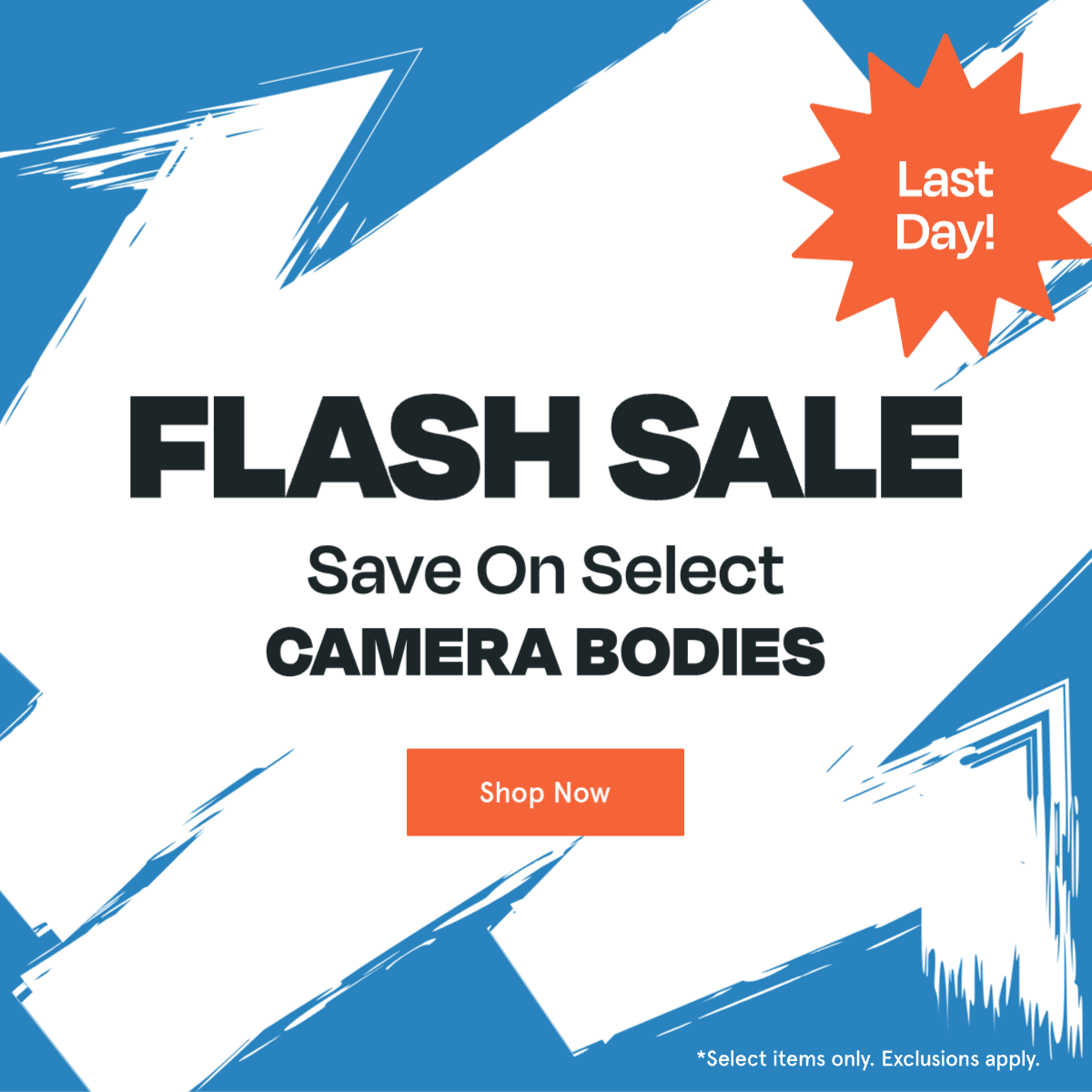 Shop the sale
