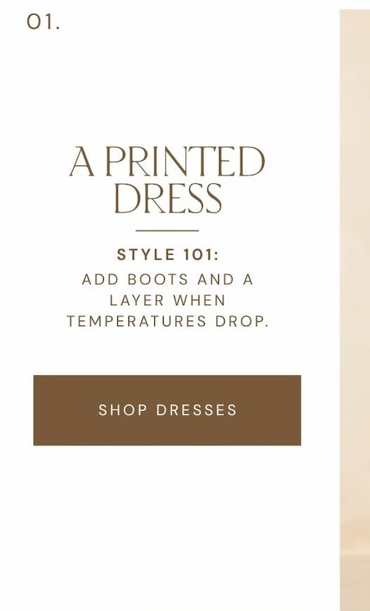 'A printed dress. Add boots and a layer when temperatures drop. Shop dresses.'