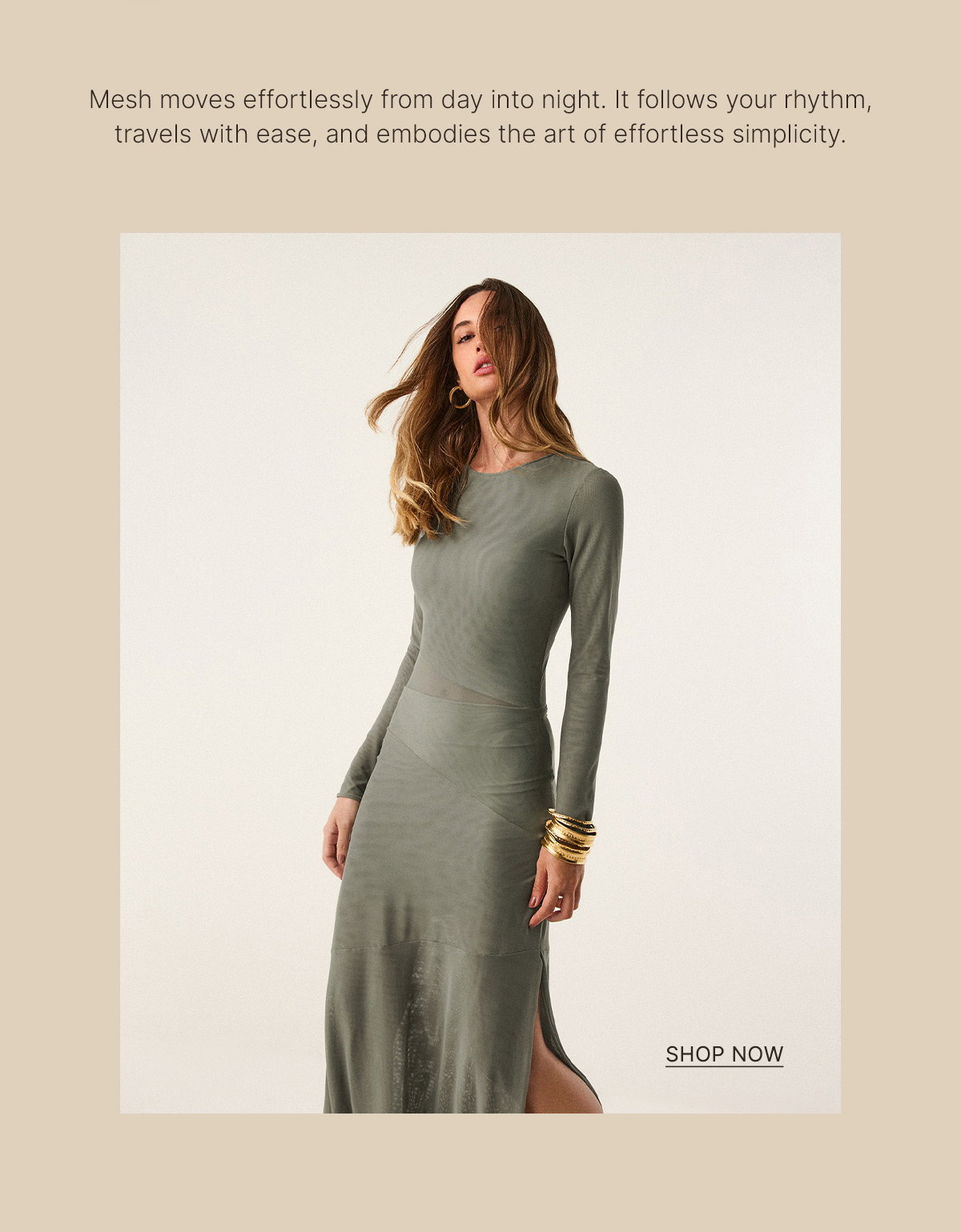 Shop Now