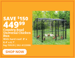 cr chicken run