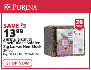 purina fly larvae hen block