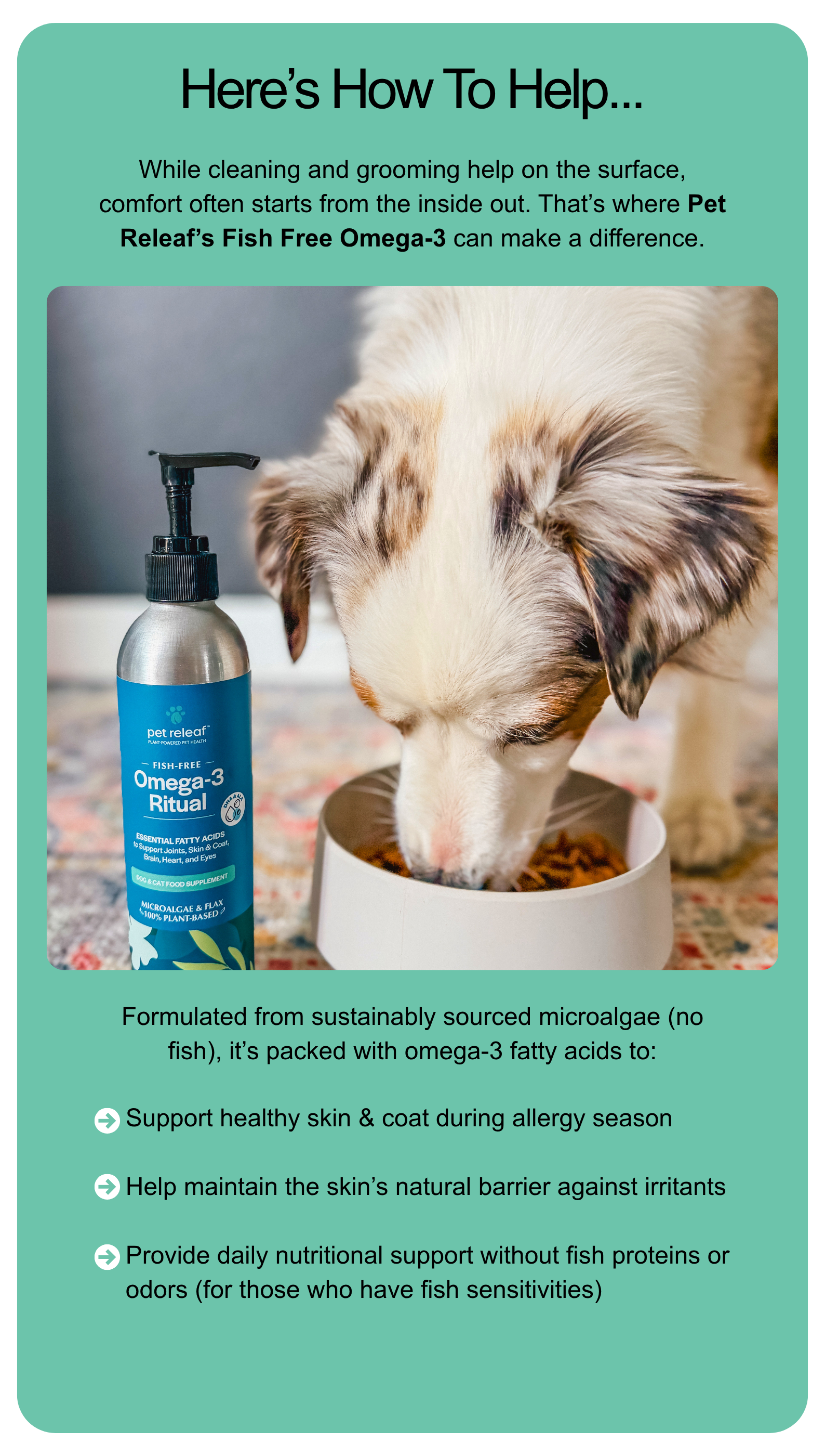 Omega 3 Product Information
