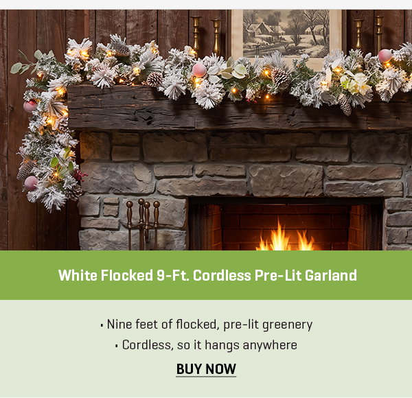 White Flocked 9-Ft. Cordless Pre-Lit Indoor/Outdoor Garland