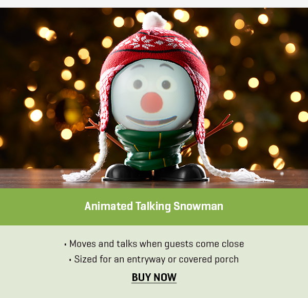 Animated Talking Snowman