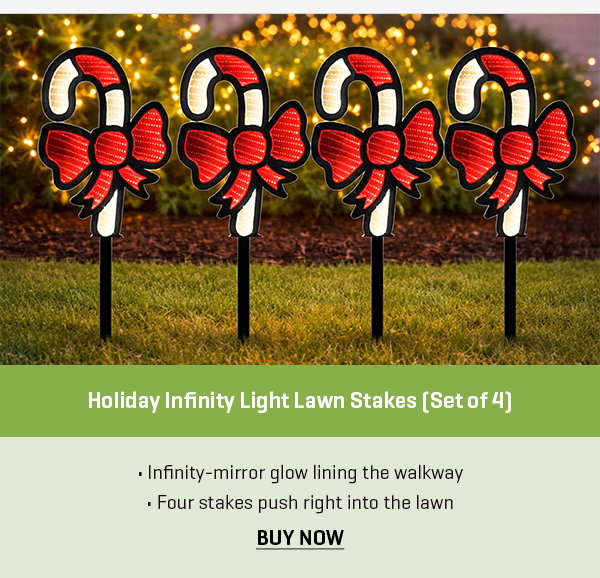 Holiday Infinity Light Lawn Stakes (Set of 4)