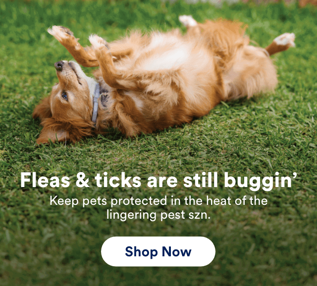 Fleas & ticks are still buggin’ Keep pets protected in the heat of the lingering pest szn. Shop Now!