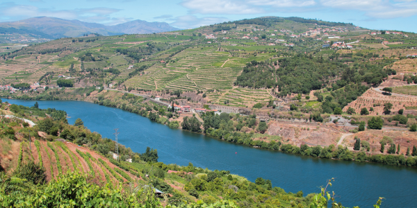 Magical Douro Cruise