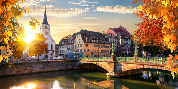 Picturesque Solo Rhine Cruise