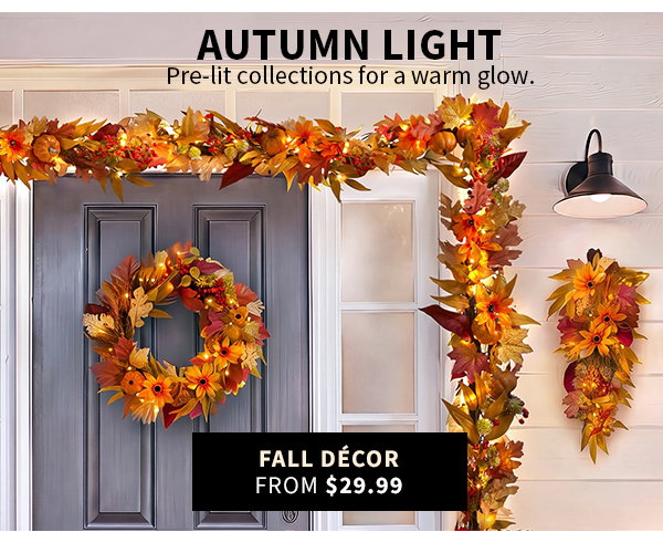 AUTUMN LIGHT