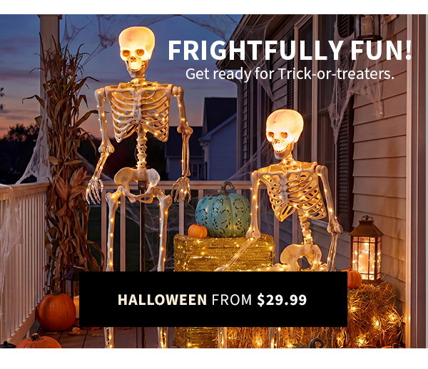 MINI SKELETON