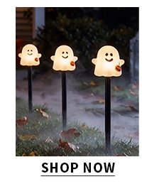 LED GHOST STAKE LIGHTS