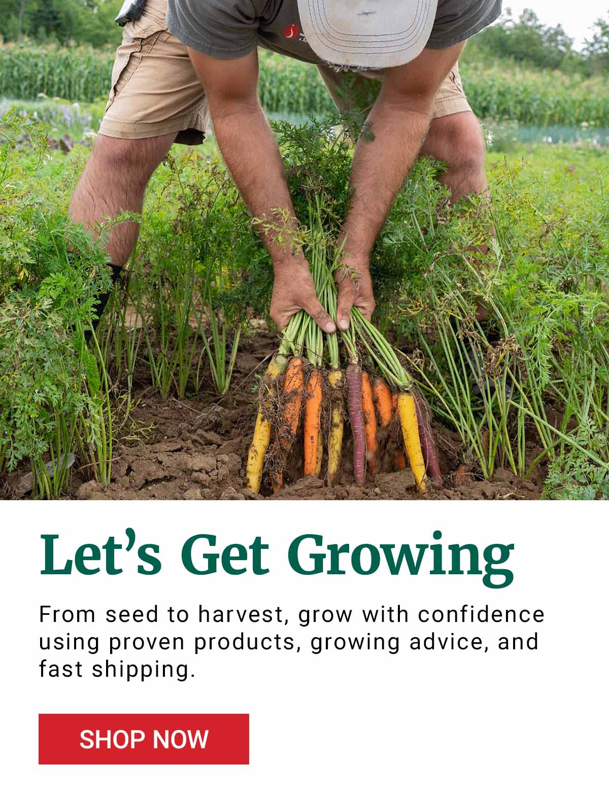 Let's Get Growing. From seed to harvest, grow with confidence using proven products, growing advice, and fast shipping - Shop Now