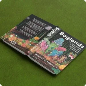Booglands