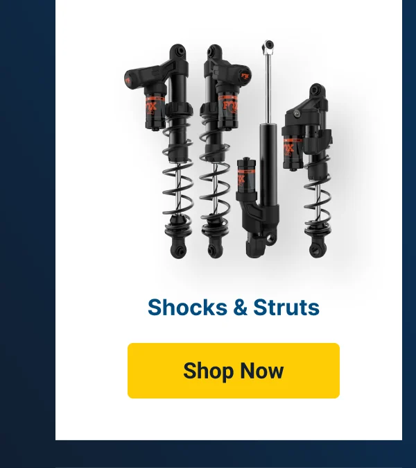 Shocks & Struts