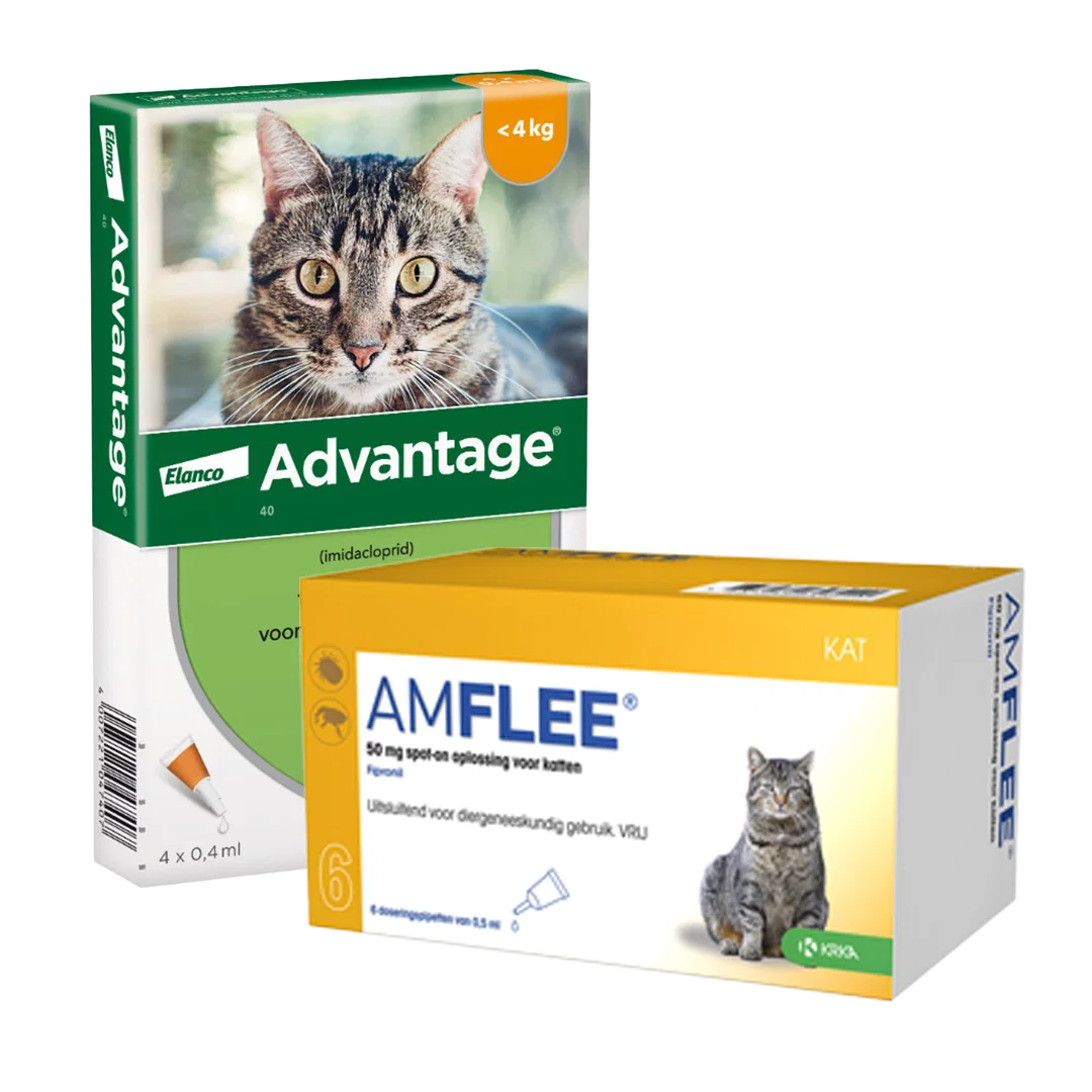 packshot