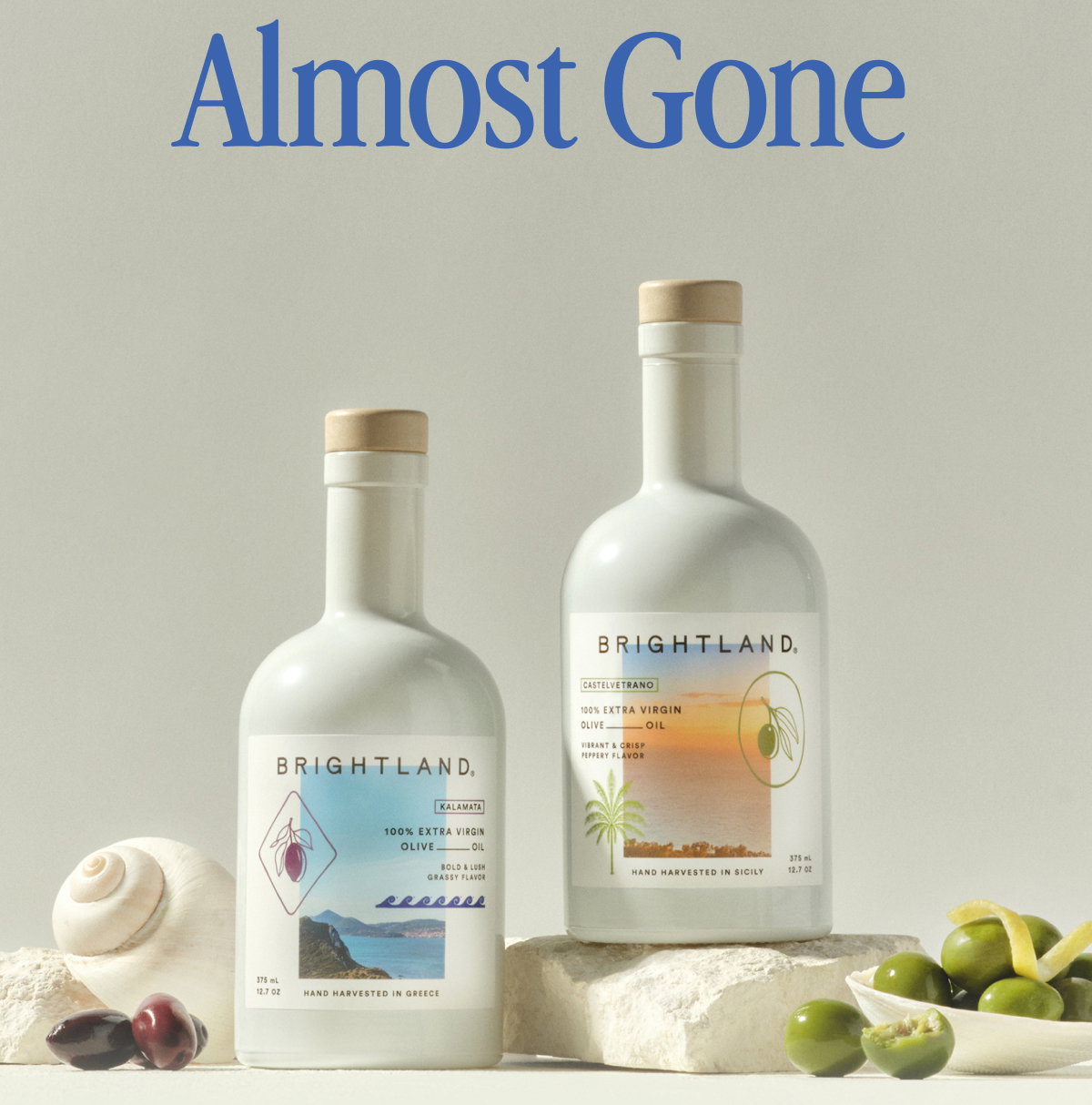 Almost Gone
