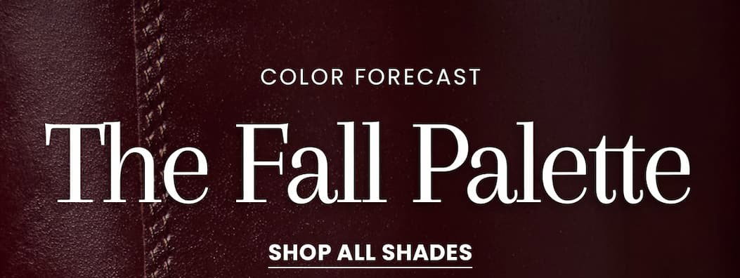 The Fall Palette | Shop Now