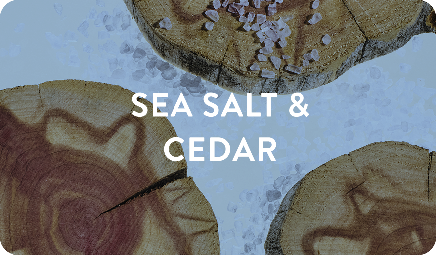 sea salt and cedar