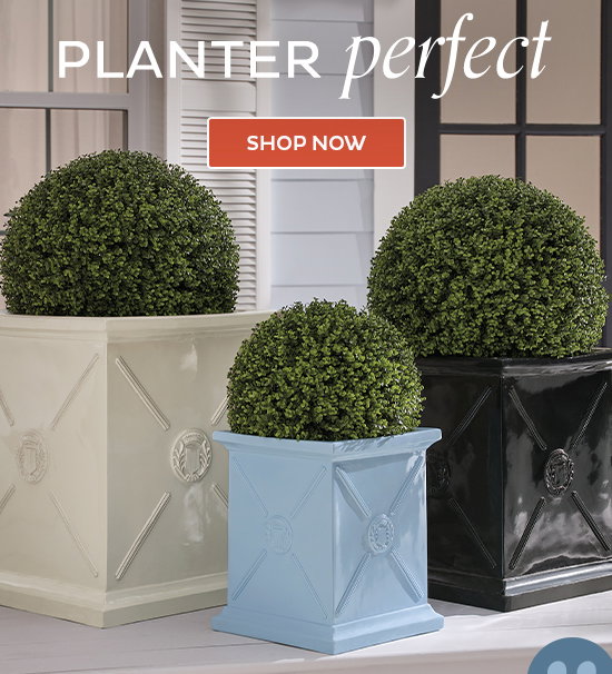 Planter Perfect - Shop Now