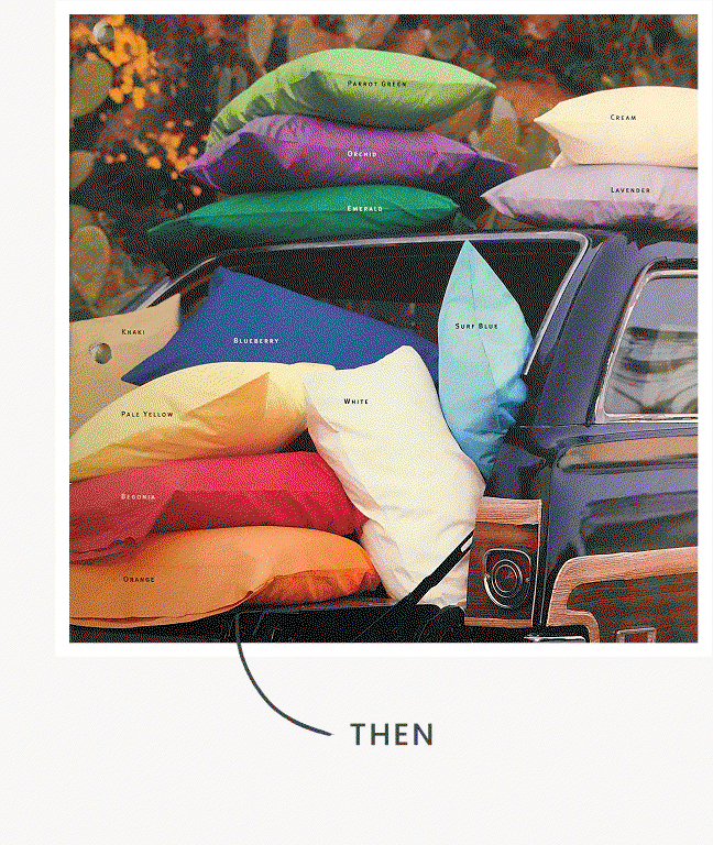  Company Cotton Percale Solid