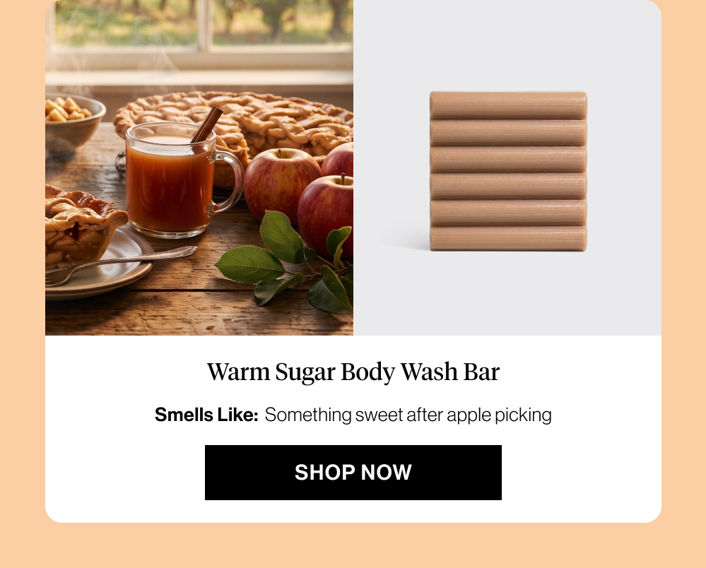 Warm Sugar Body Wash Bar