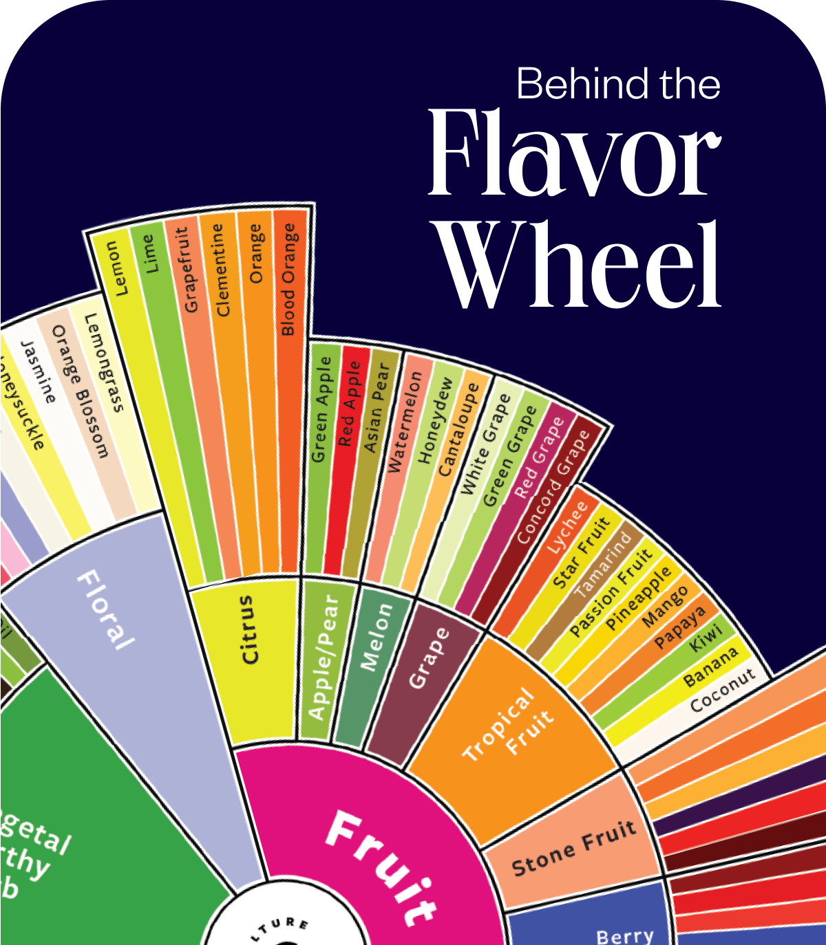  Behind the flavor wheel