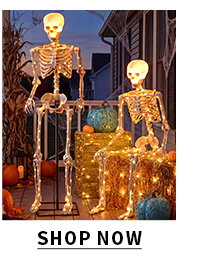 MINI SKELETON