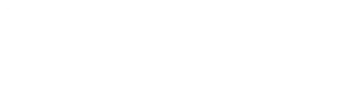 AAII_text-on-side-white-on-transparent (2)