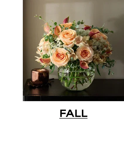Fall