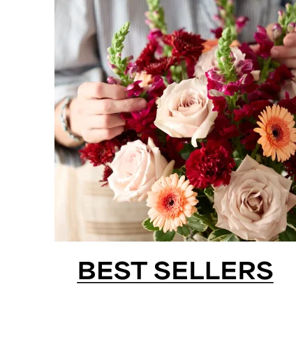 Best Sellers