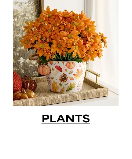 Plants