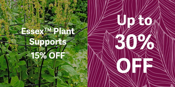 Essex Plant Supports - 15% OFF - UP to 30 % OFF