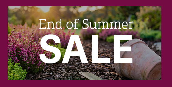End of Summer Sale