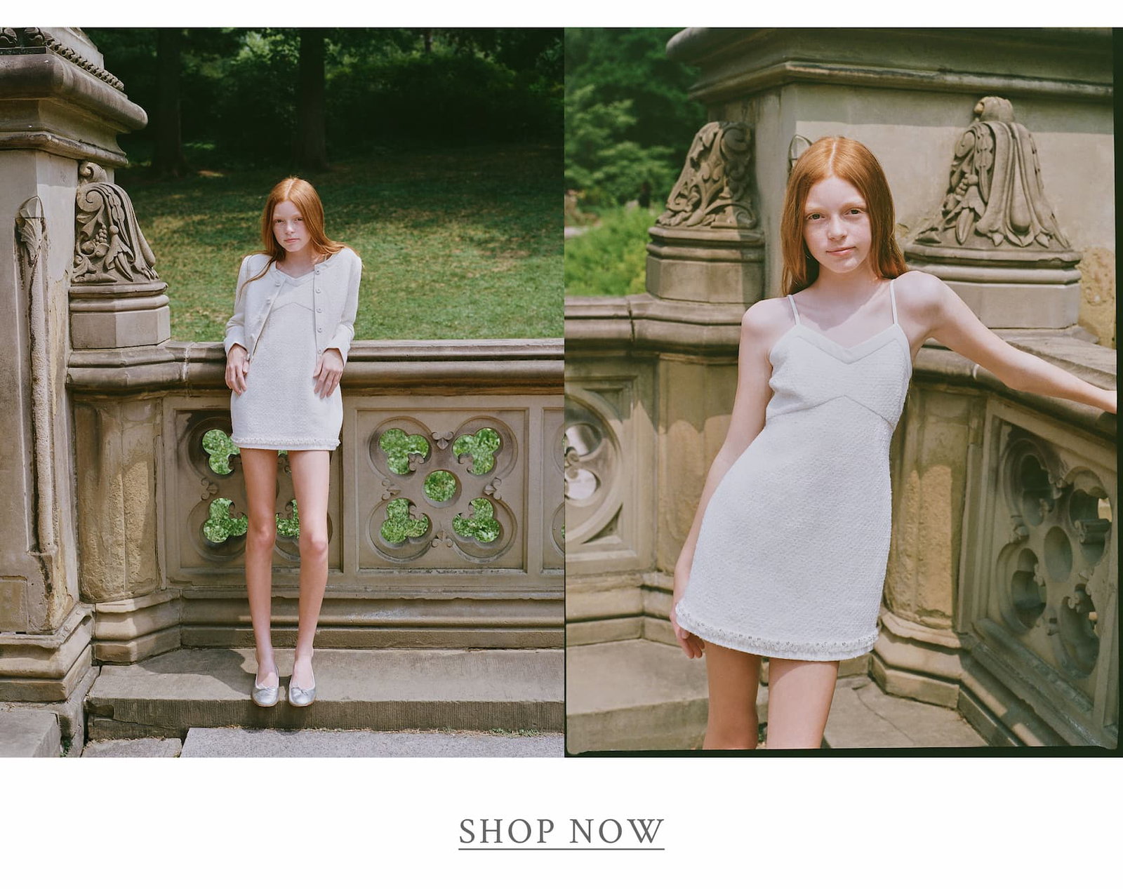 <SHOP NOW>