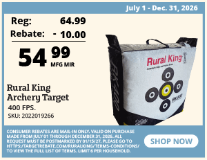 archery target
