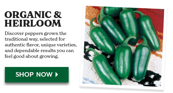 ORGANIC & HEIRLOOM - SHOP NOW