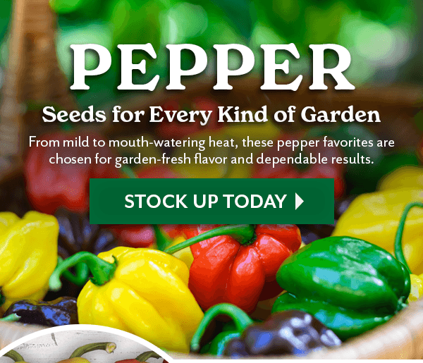 Discover More Flavor with PEPPERS
