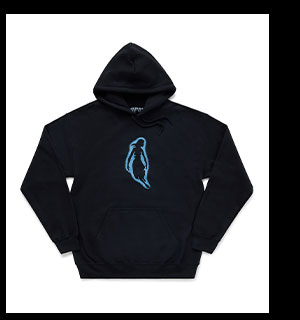 Pierce the Veil Collide With the Sky Hoodie
