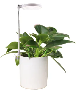 Lumio Lights Easy kasvivalo
