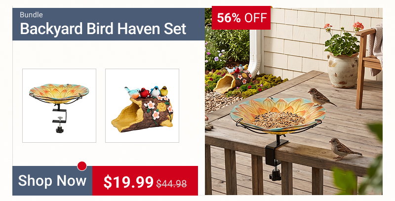 Backyard Bird Haven Set