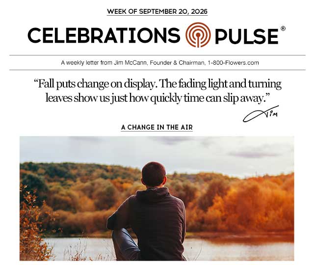 celebrations pulse