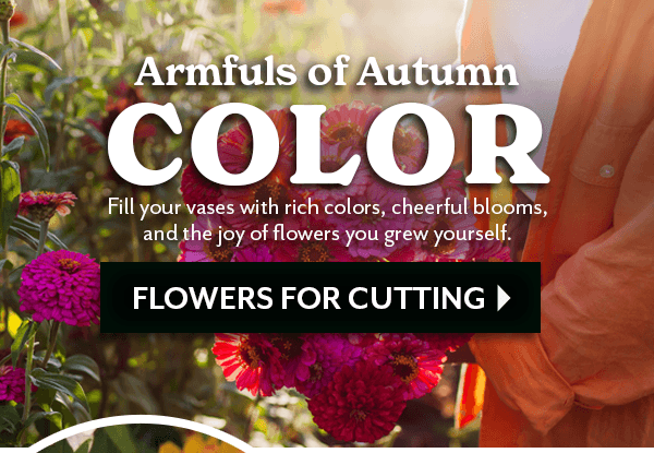 GIVE HER MORE THAN FLOWERS - SHOP FLOWERS FOR CUTTING