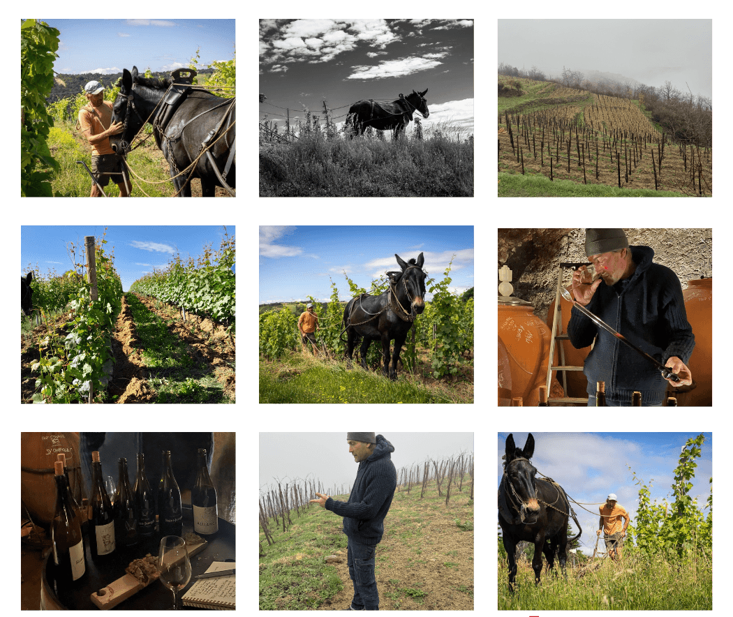 Jean-François Malsert 4-Pack | Domaine de L’Iserand