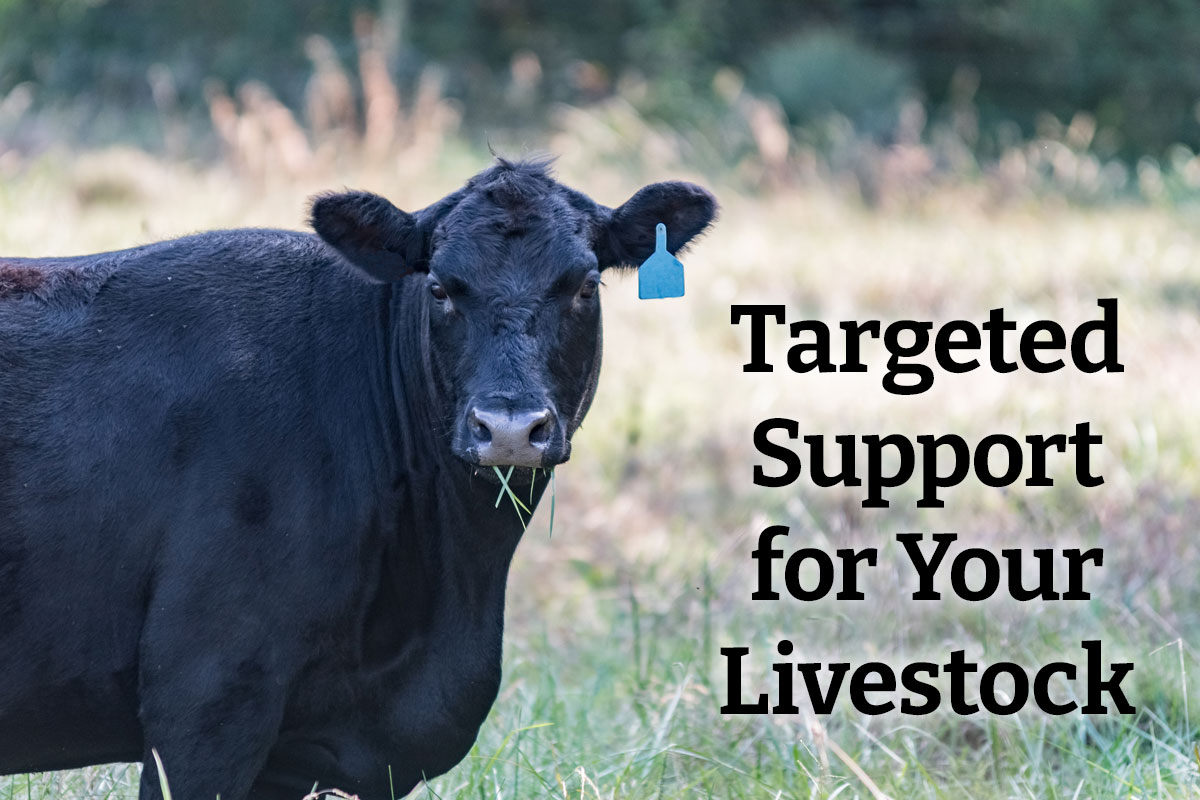 Targeted Support for Your Livestock - Shop Livestock Supplements