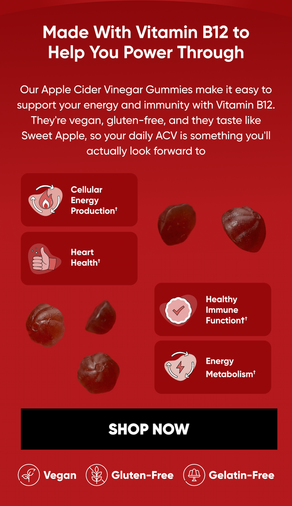 Made With Vitamin B12 To Help You Power Through   Our Apple Cider Vinegar Gummies make it easy to support your energy and immunity with Vitamin B12. They're vegan, gluten-free, and they taste like Sweet Apple, so your daily ACV is something you'll actually look forward to. Cellular Energy Production† Heart Health† Healthy Immune Function† Energy Metabolism†   Vegan · Gluten-Free · Gelatin-Free  SHOP NOW