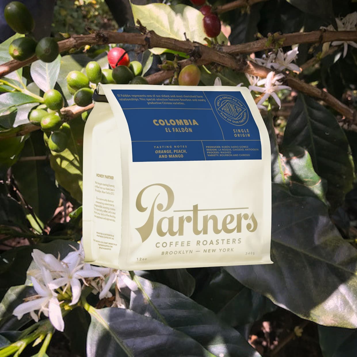 A bag of Partners Coffee's Colombia - El Faldón over a backdrop of coffee plants